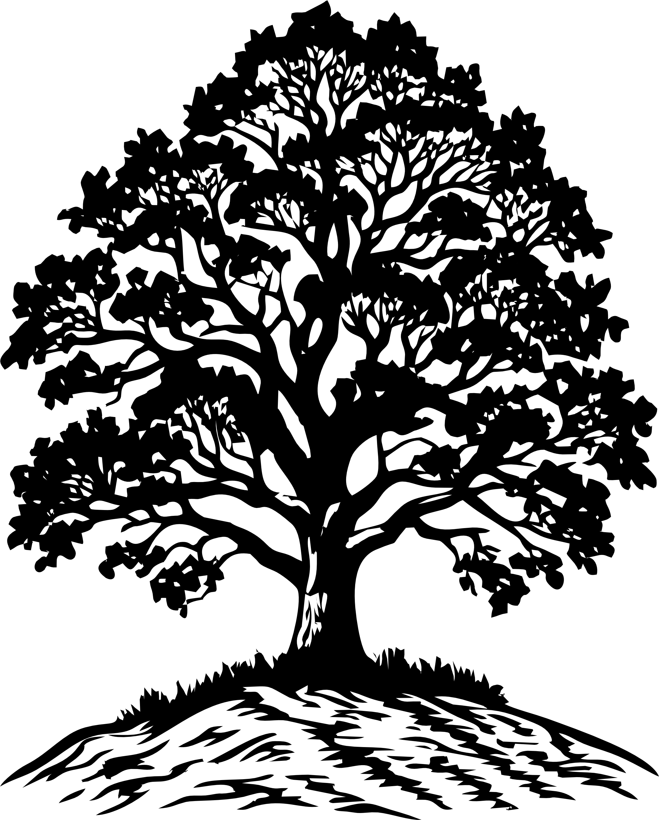 WoodClass